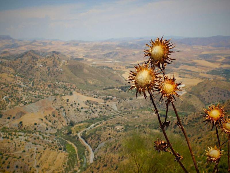 LewynZevinRano Buenos Aires