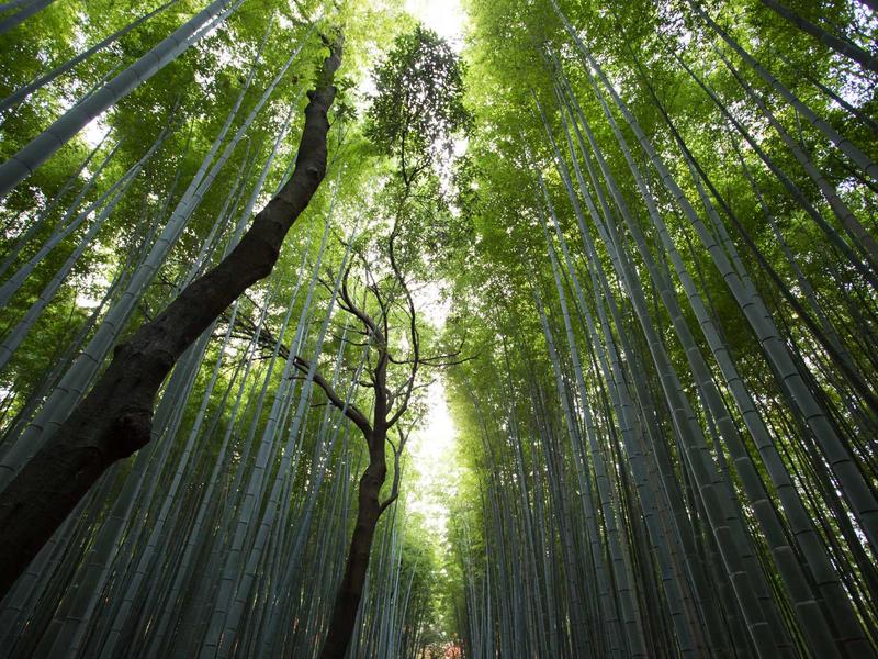 LewynZevinRano Buenos Aires