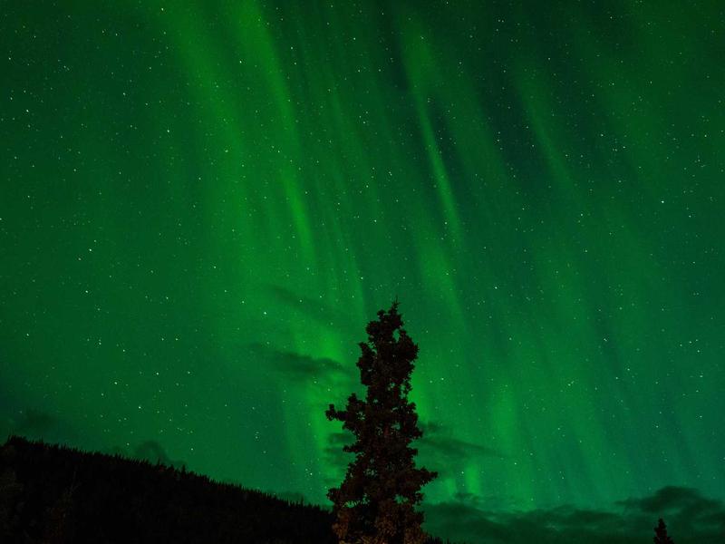 LewynZevinRano Buenos Aires